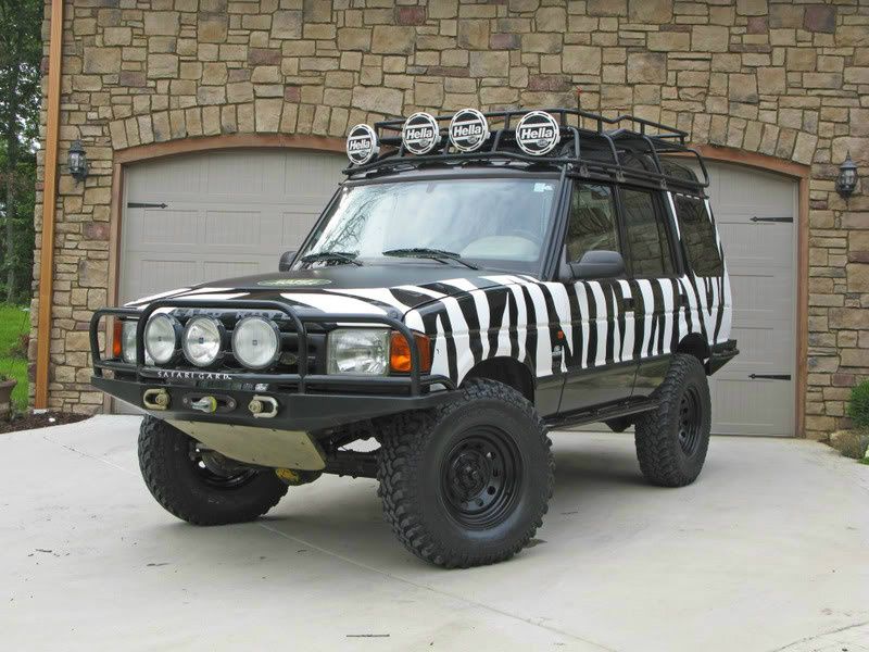 Zebra Stripes! RCCrawler